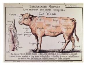 Veal Diagram